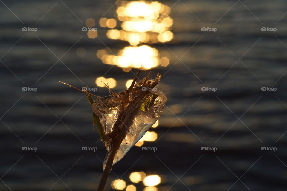 ice and water reflections