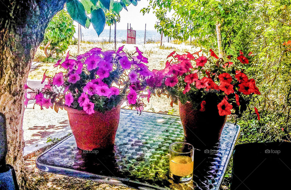 a drink by the beach