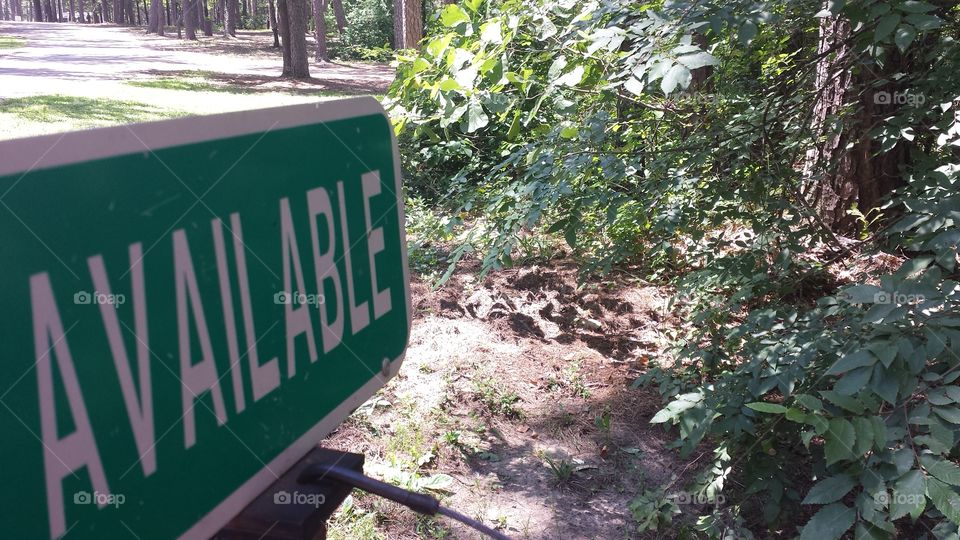 No Person, Nature, Outdoors, Environment, Leaf