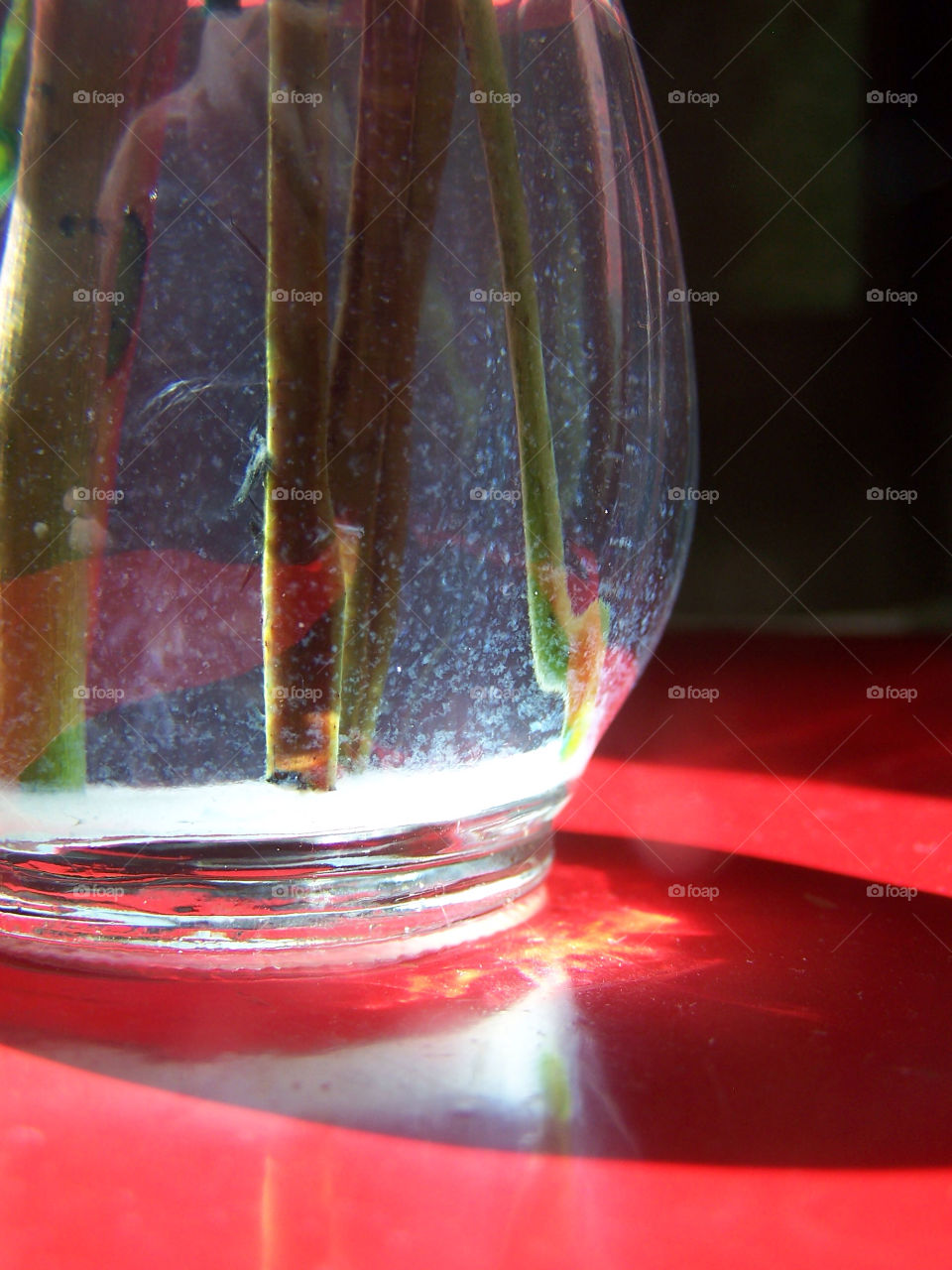 flowers sun water reflection by ashley77