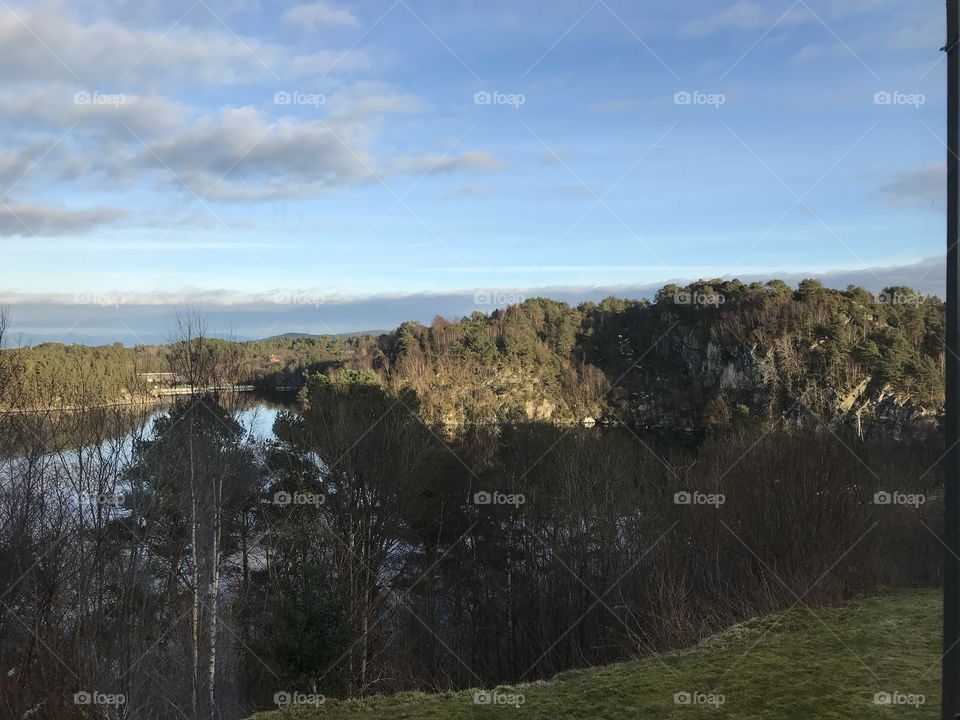 Nature in Norway. Trees in front of a lake.                                                      