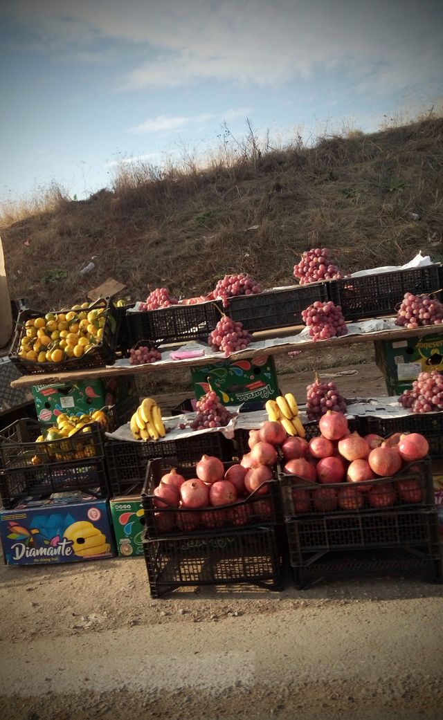 vegetables