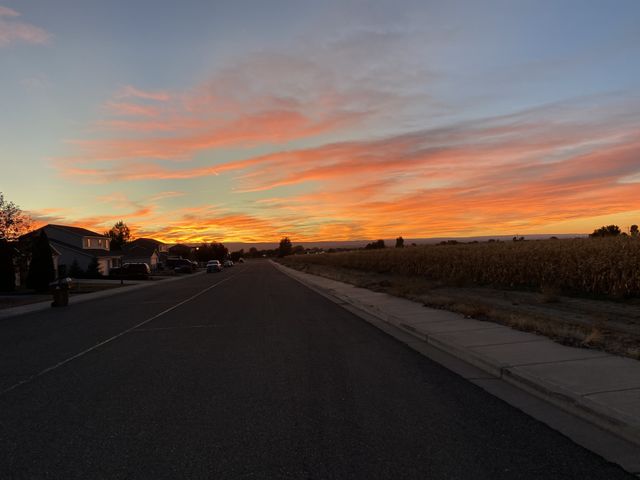 Neighborhood sunset