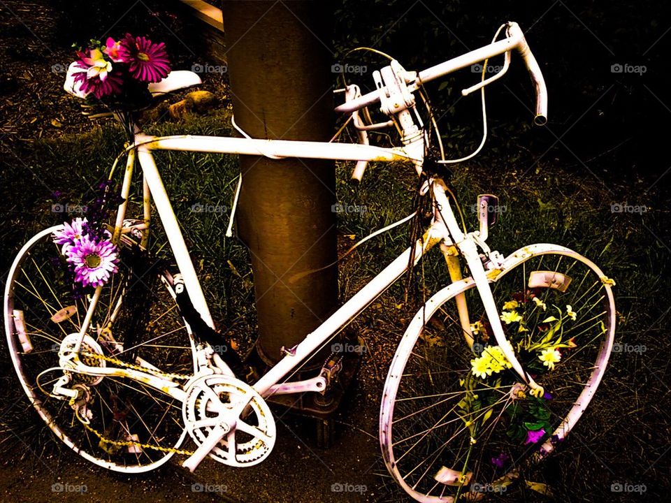Ghost Bike Memorial... Share The Road!