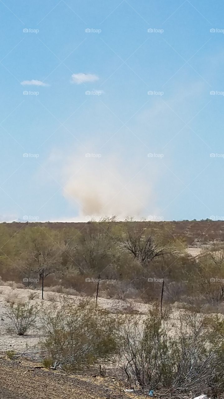 dust devils. size large.