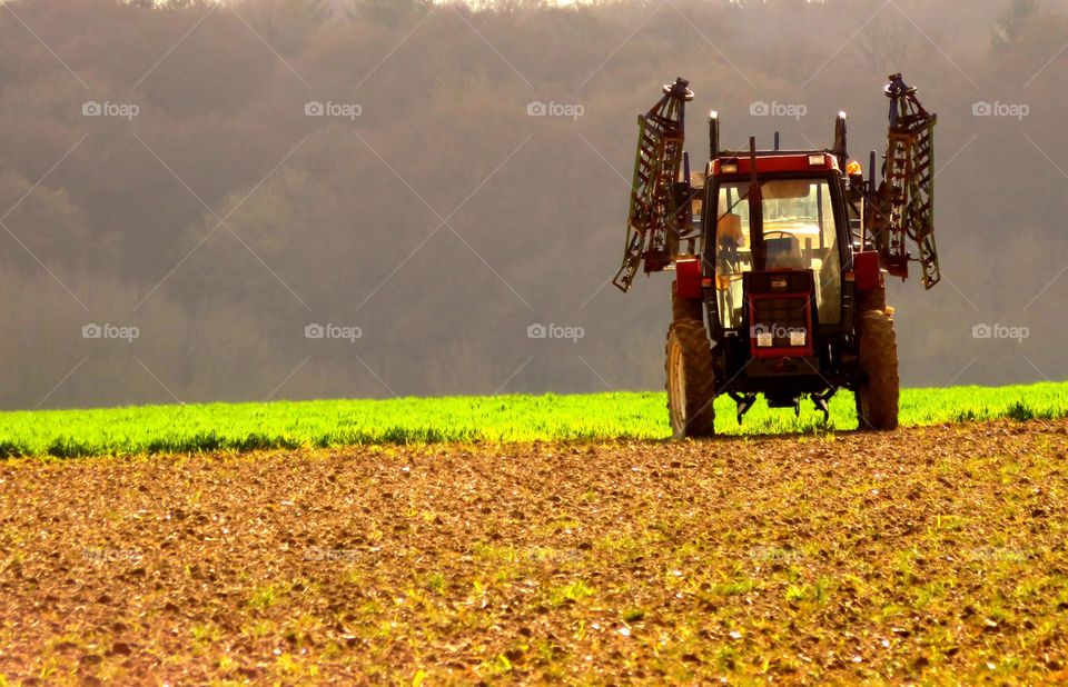 agriculture