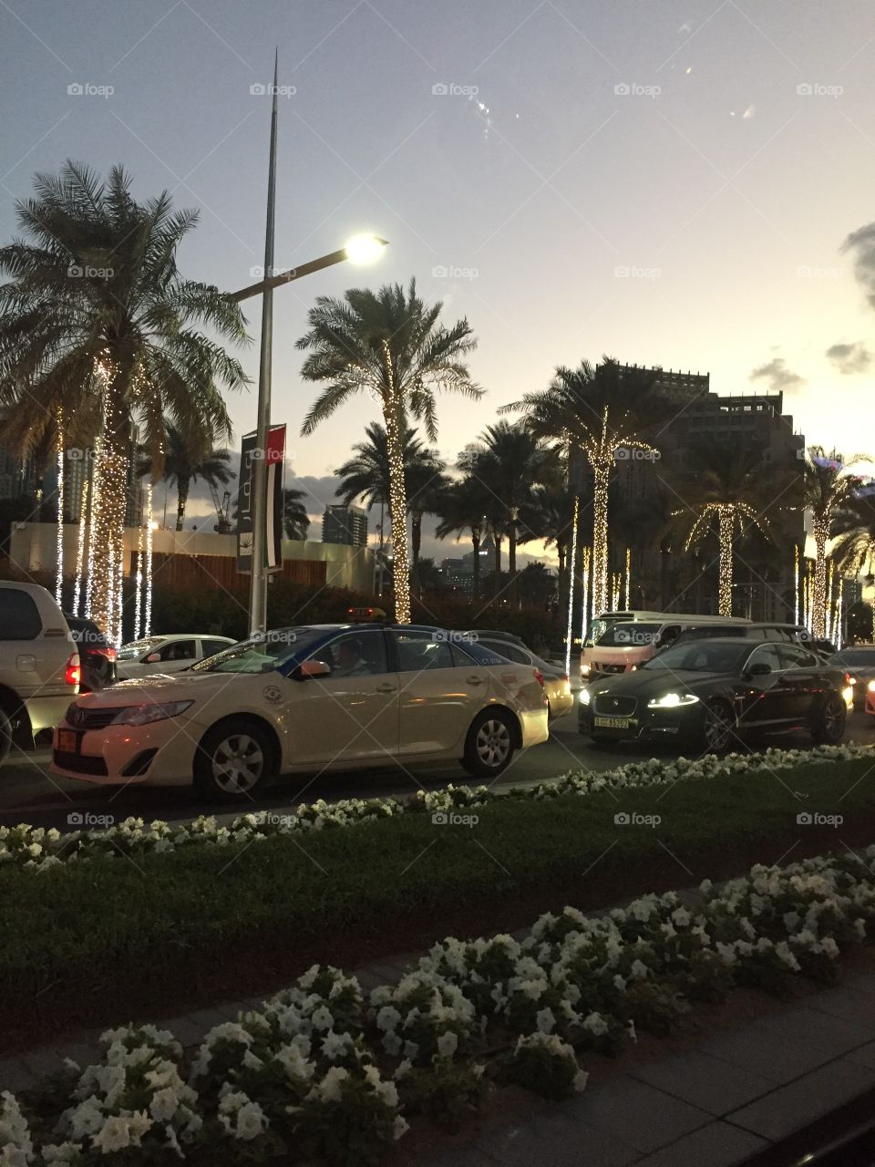 Cars of Dubai