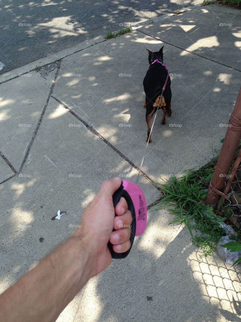 Time to poo and pee (let's be honest)