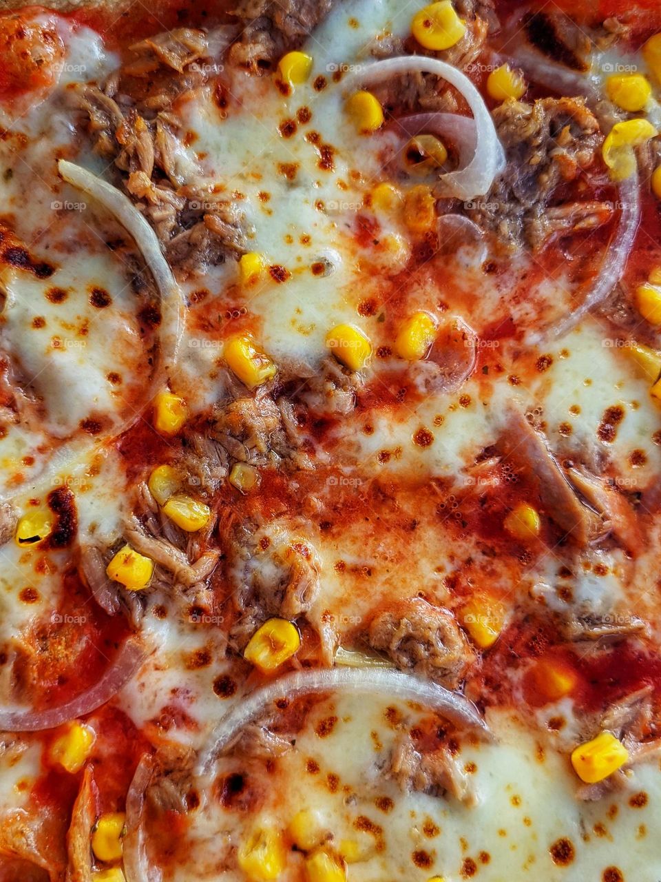 Top view of grilled pizza with bacon, cheese and vegetables on the plate close-up.