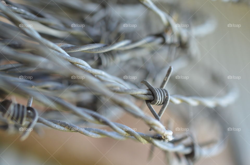 Close-up of barbed Wire