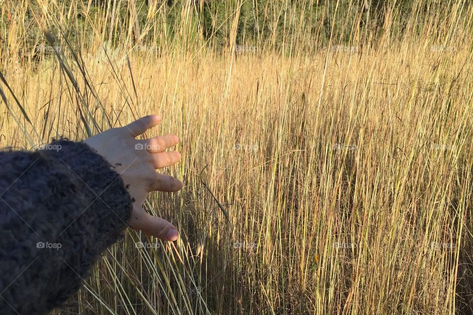 Walking through a field
