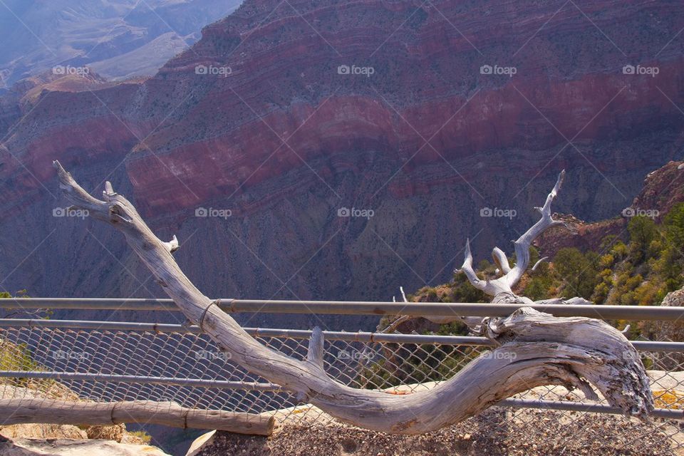 GRAND CANYON, ARIZONA THE GRAND CANYON NATIONAL PARK