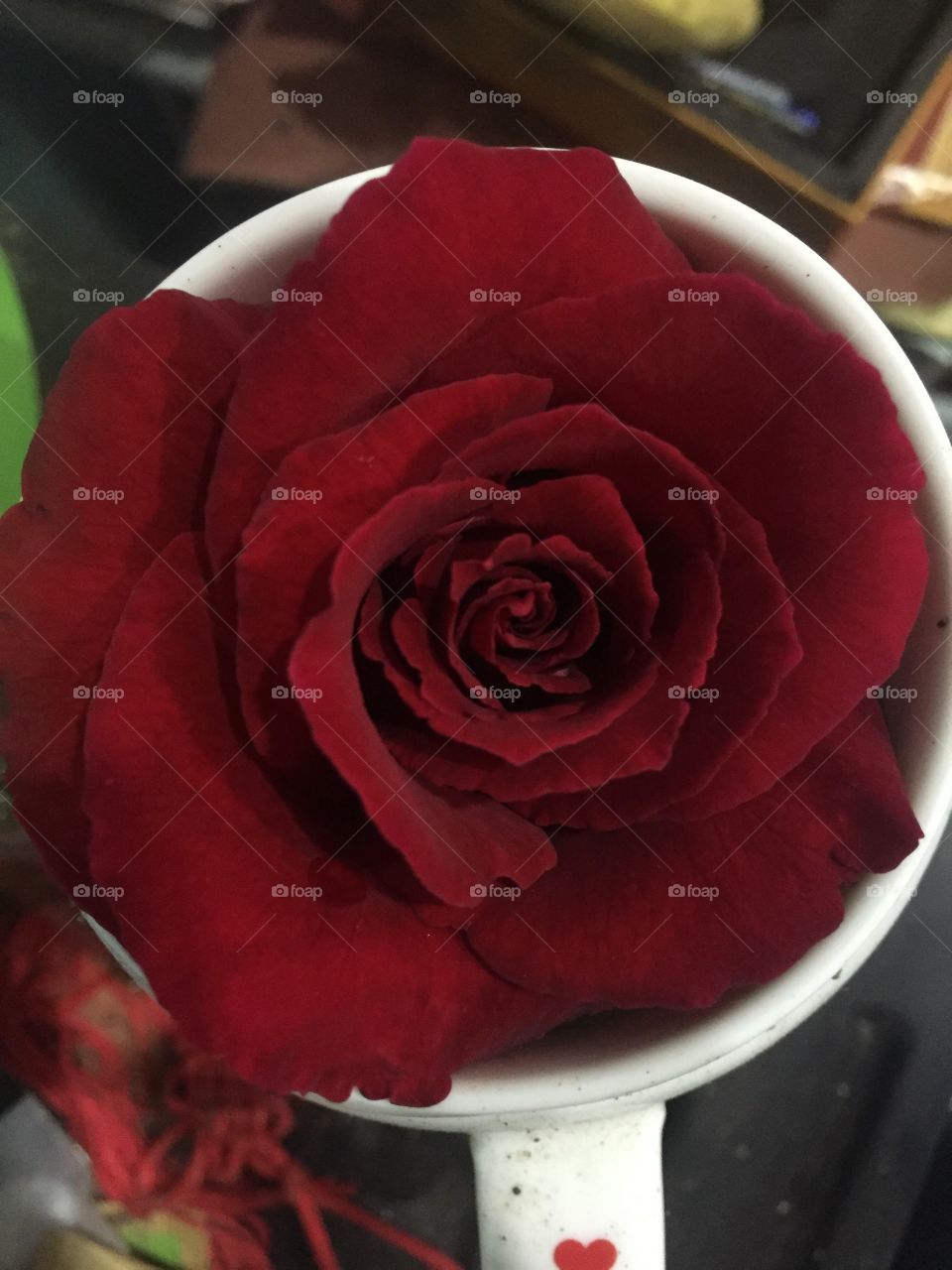 Red rose inside glass..