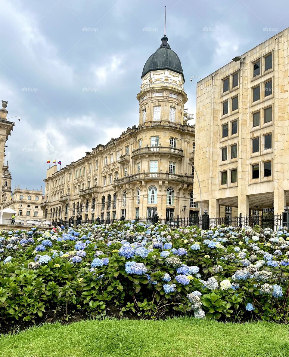 A yard with much plants 