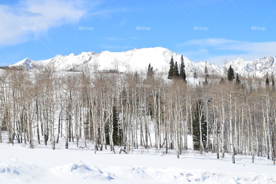 Rocky Mountains in winter 
