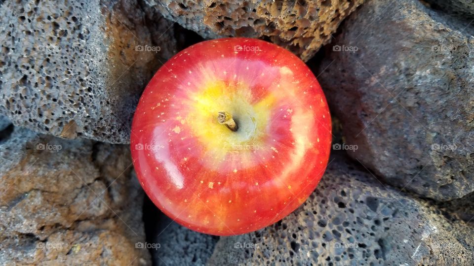 Apple on the rocks