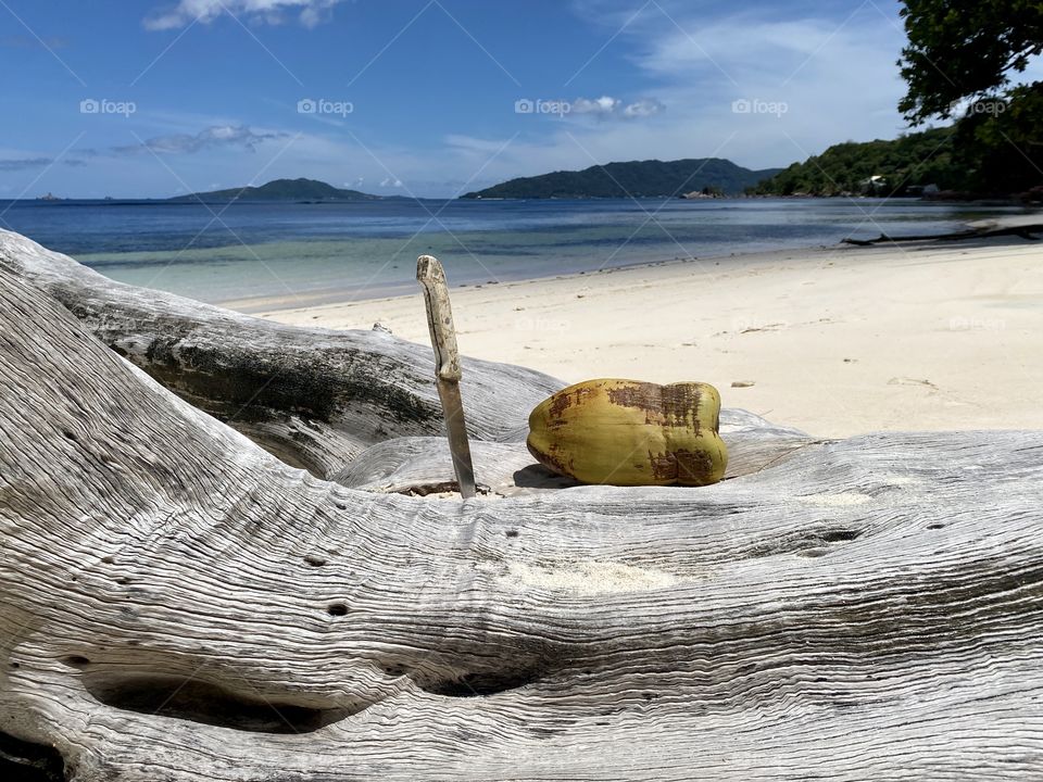 Fresh Coconut - what can be more healthy? 