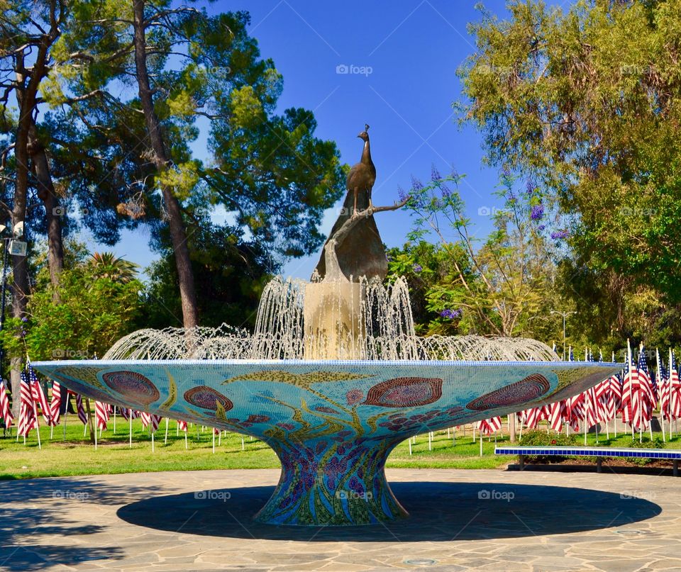 Peacock upon a fountain 