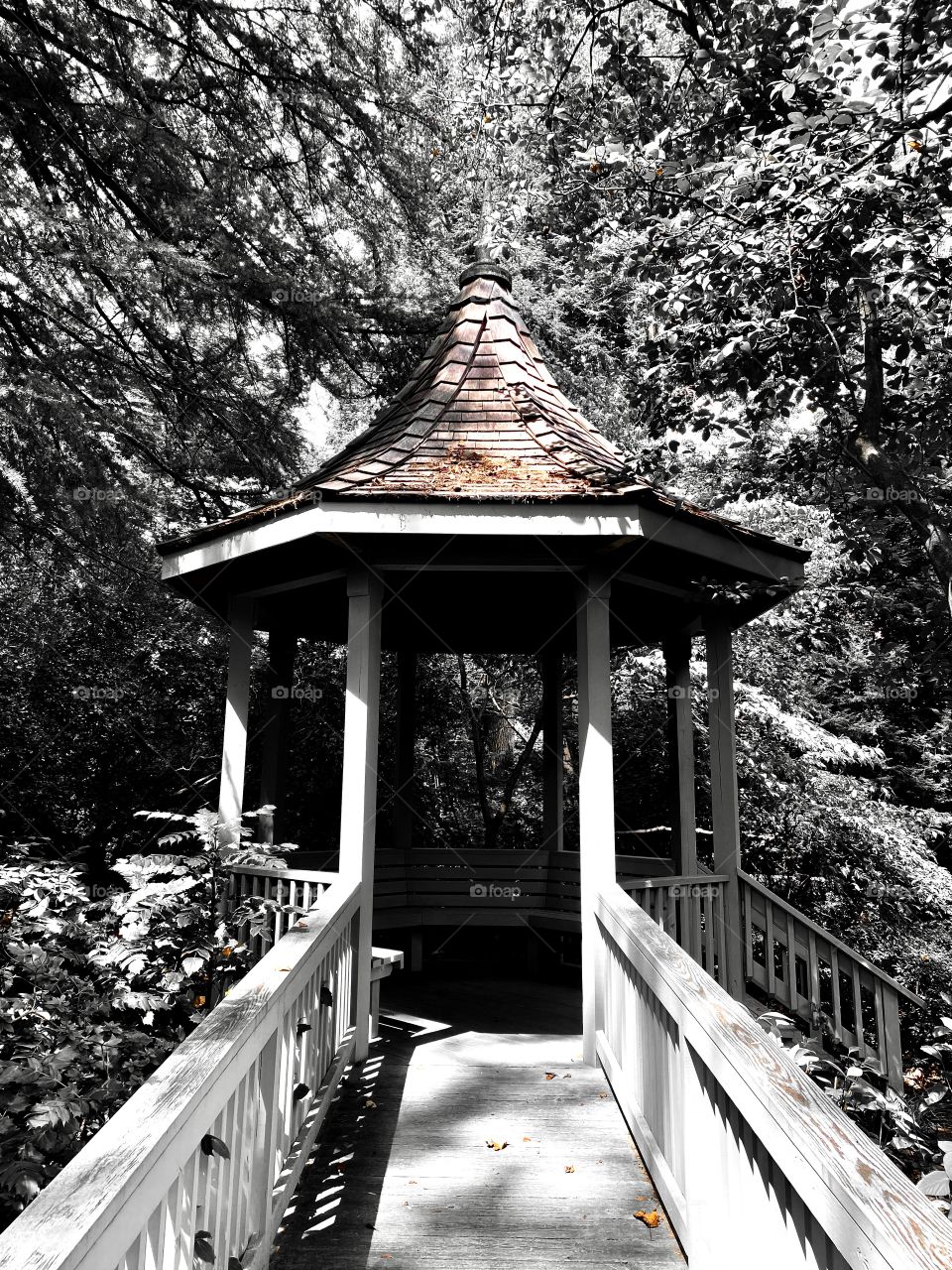 Gazebo in the garden