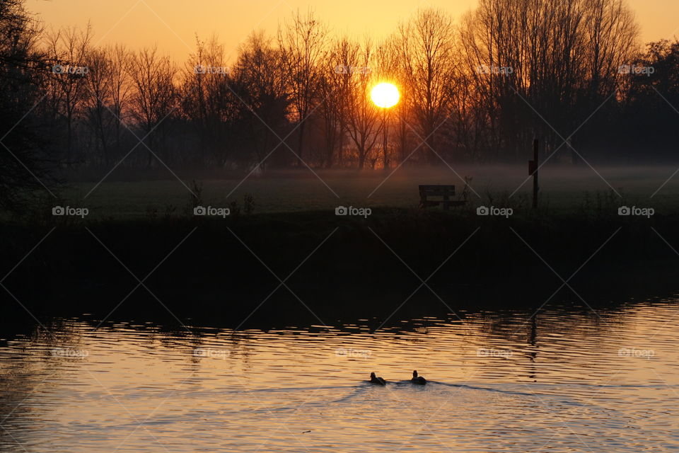 Ducks enjoying an English Winter sunset ....