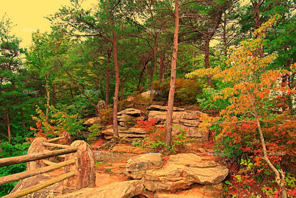 Rocky Mountain side in Fall