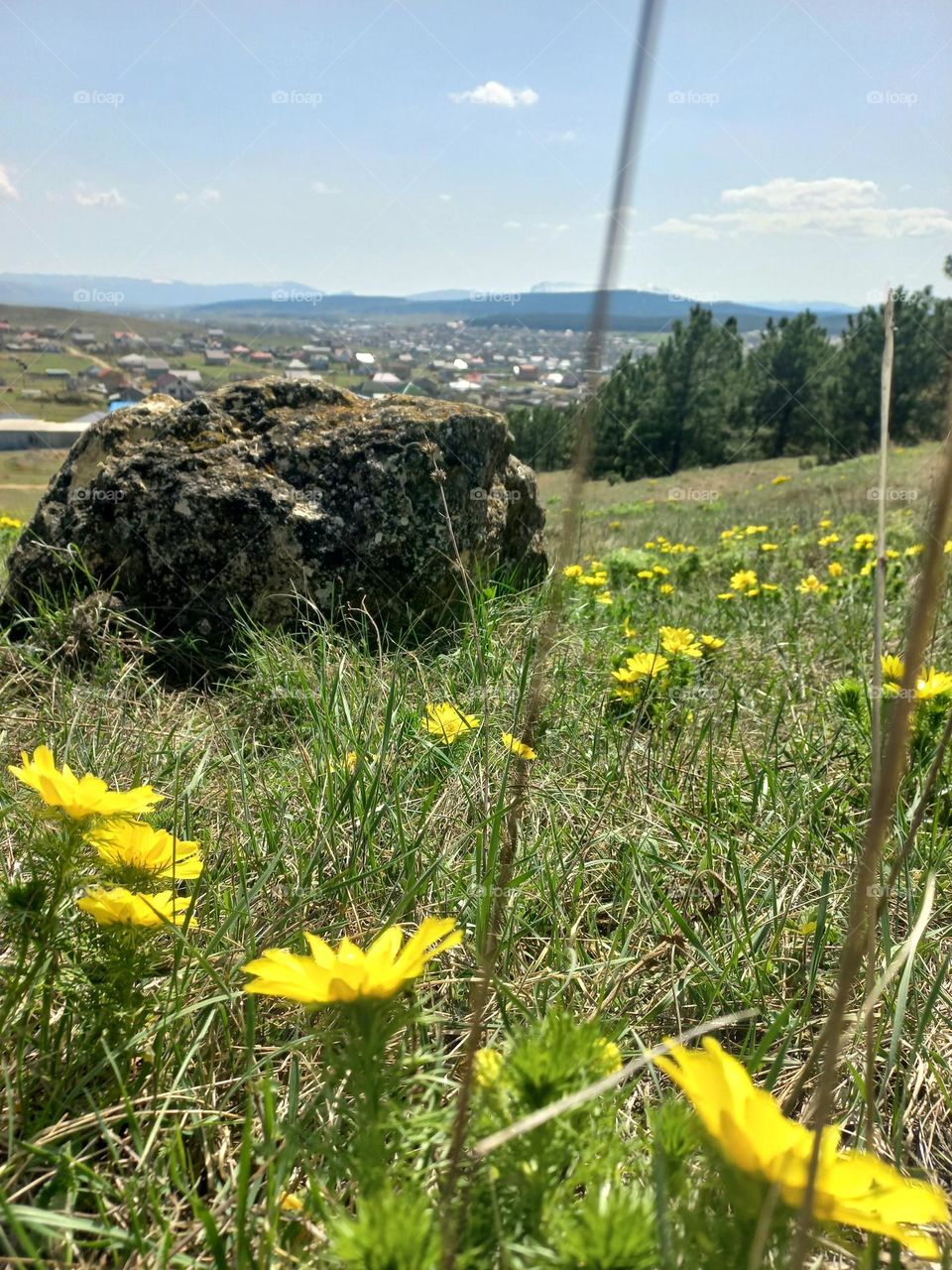 nature in spring! smells around spring flowers, lush grass, fresh air, and warm weather!