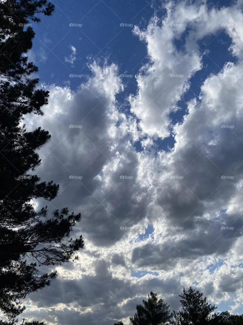 A beautiful day to look up at the sky 