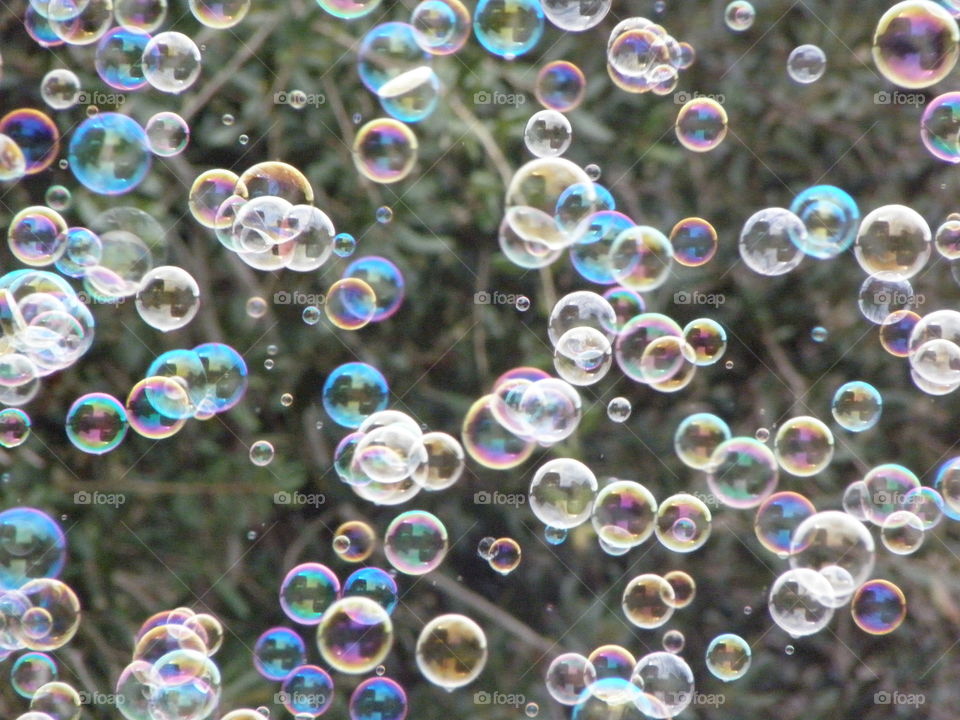 Close-up of soap bubbles