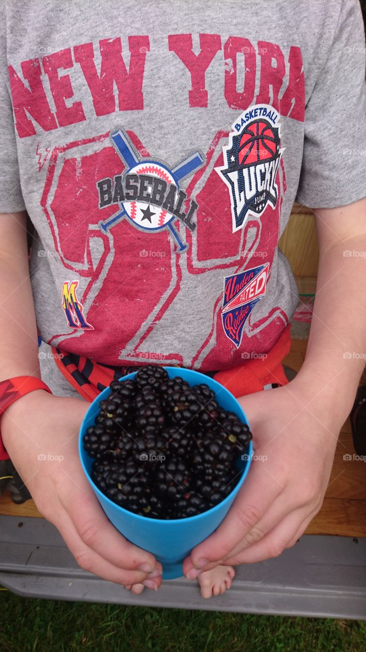 Blackberry picking