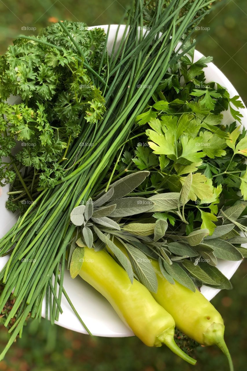 Fresh garden harvest