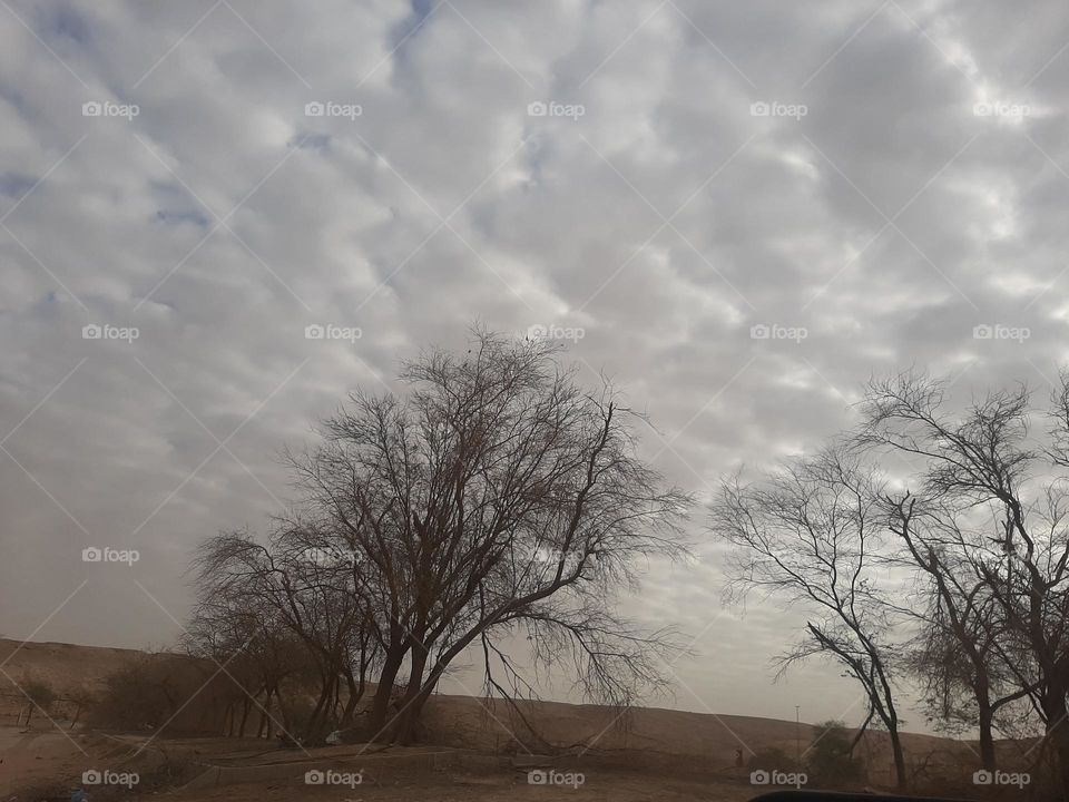 Please make me happy, I am poor, I need your help with support