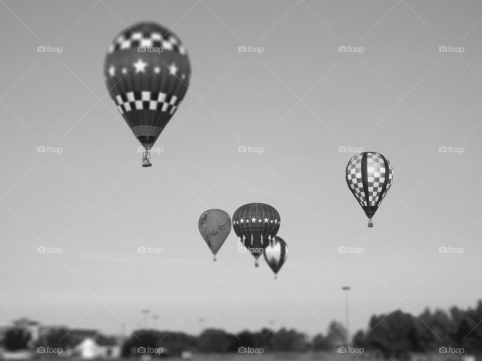 Black and white Hot Air Balloons. I took this photo at the Great Midwest Balloon Fest in Olathe, Kansas and added a tilt shift effect on black and white, giving it a vintage look.
