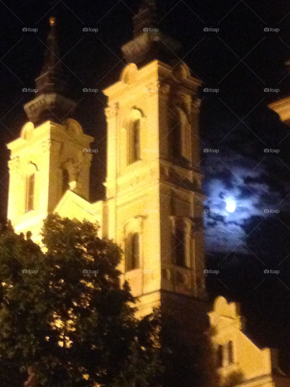 Churches of the world 