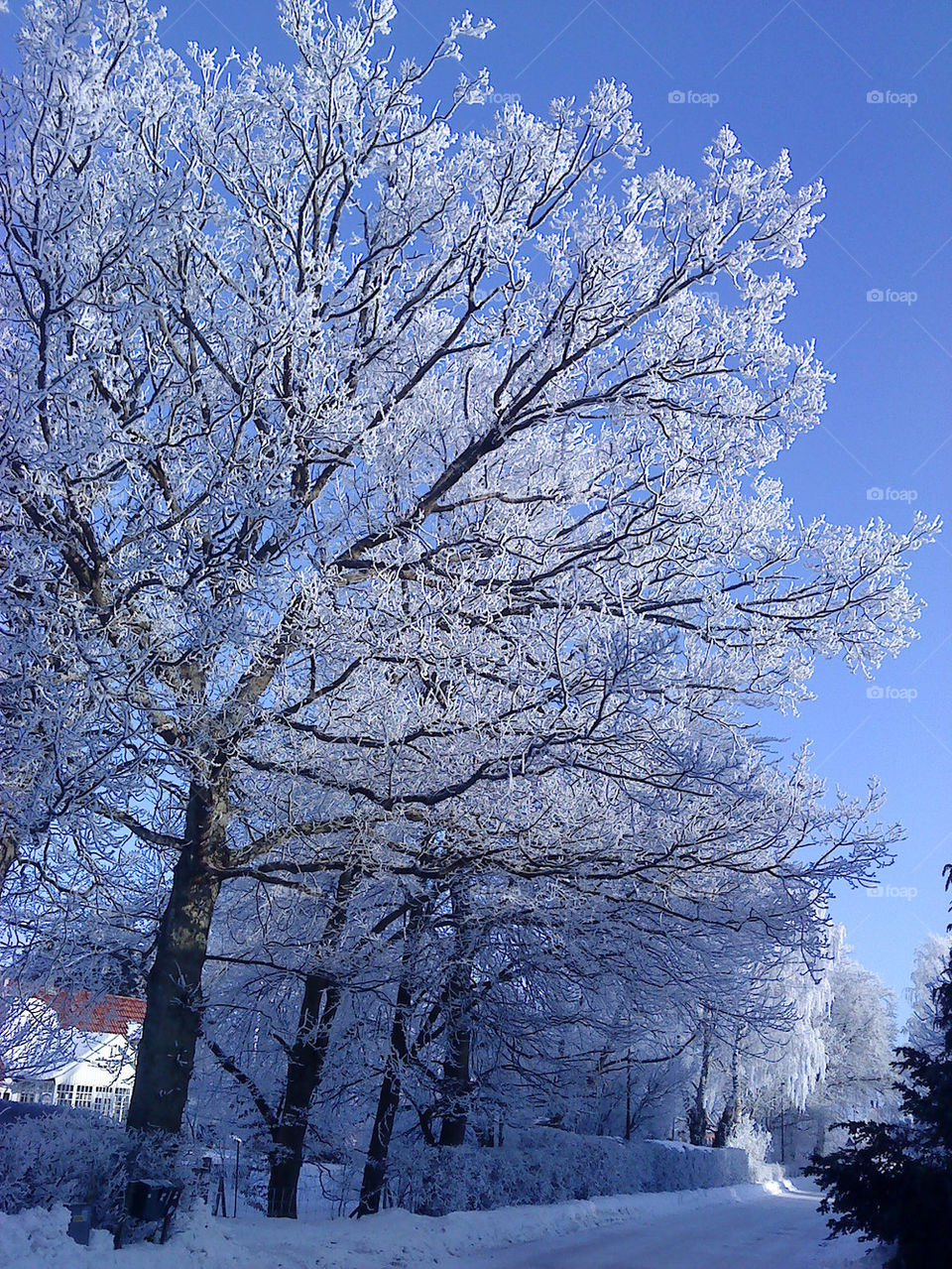 snow winter sky street by annaem