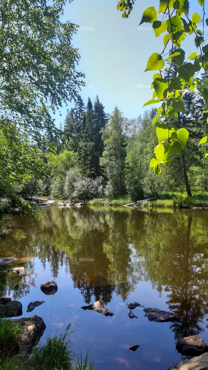 Olha River