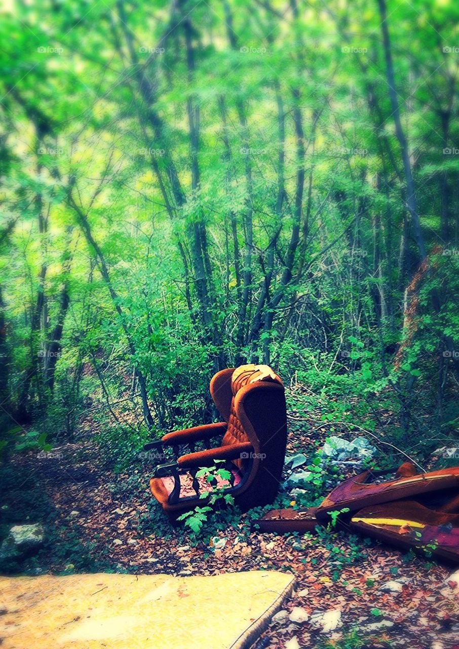 People like to throw old stuff in the forest behind my house