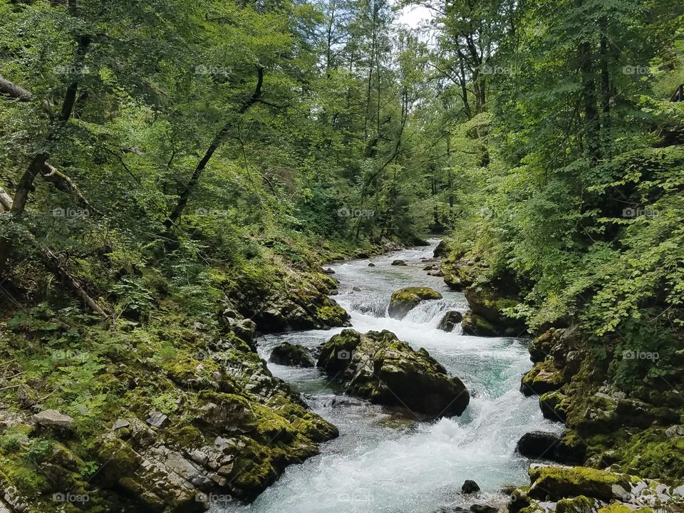 Nature Creek