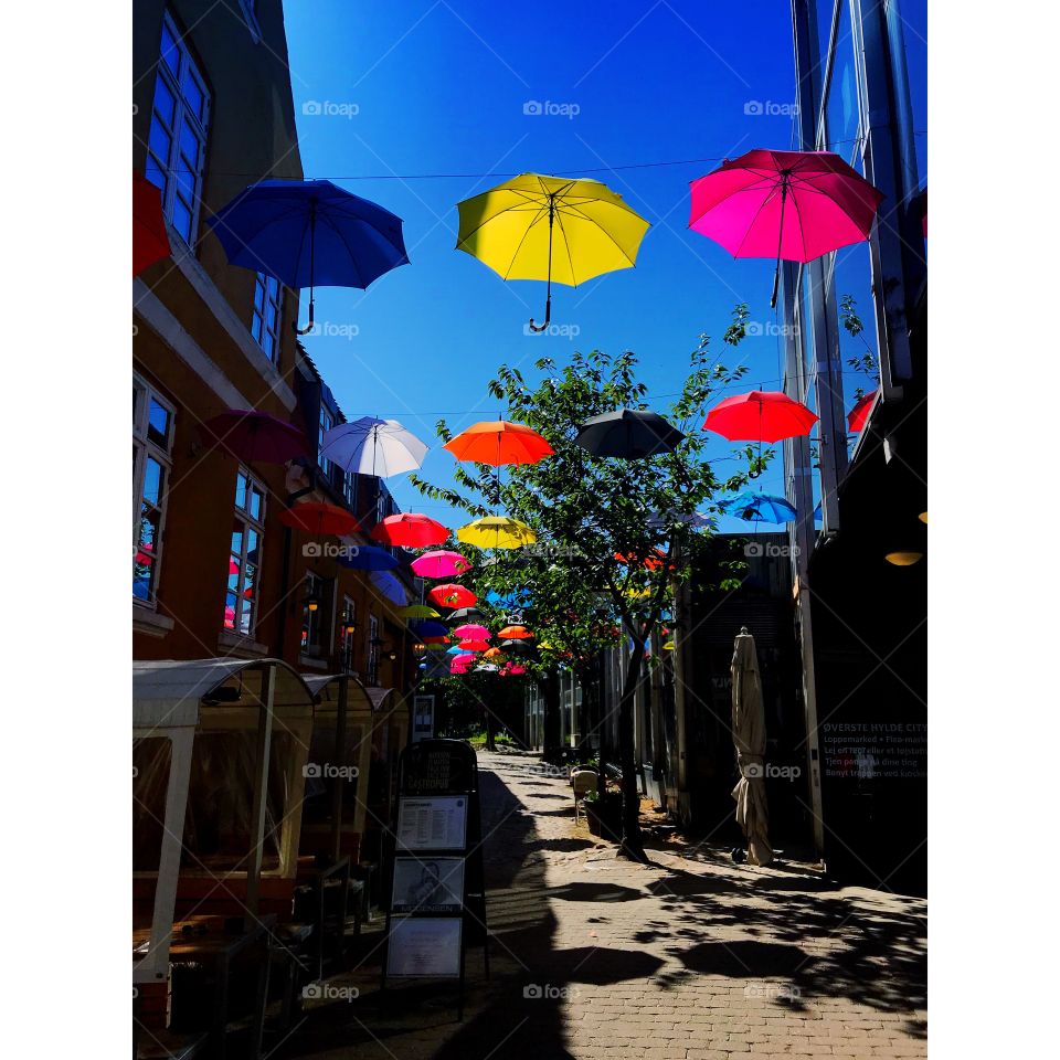 Umbrellas in Svendborg