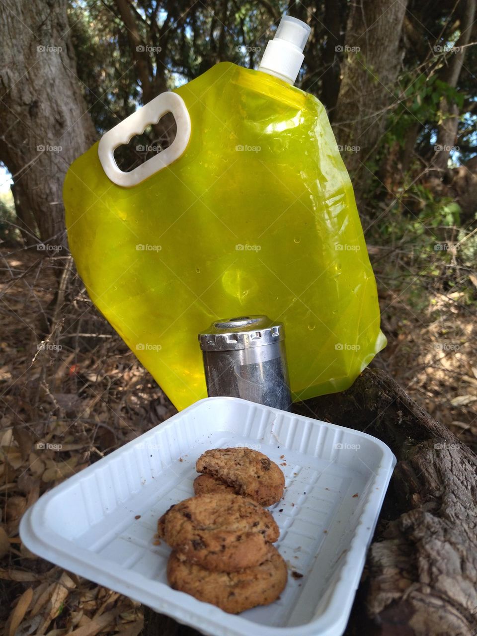 Cookies and nature