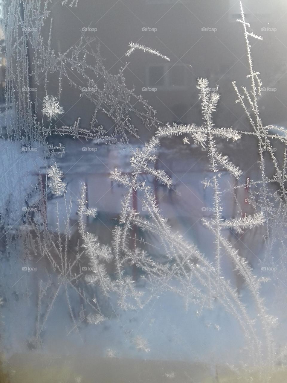 Frost on the glass pattern