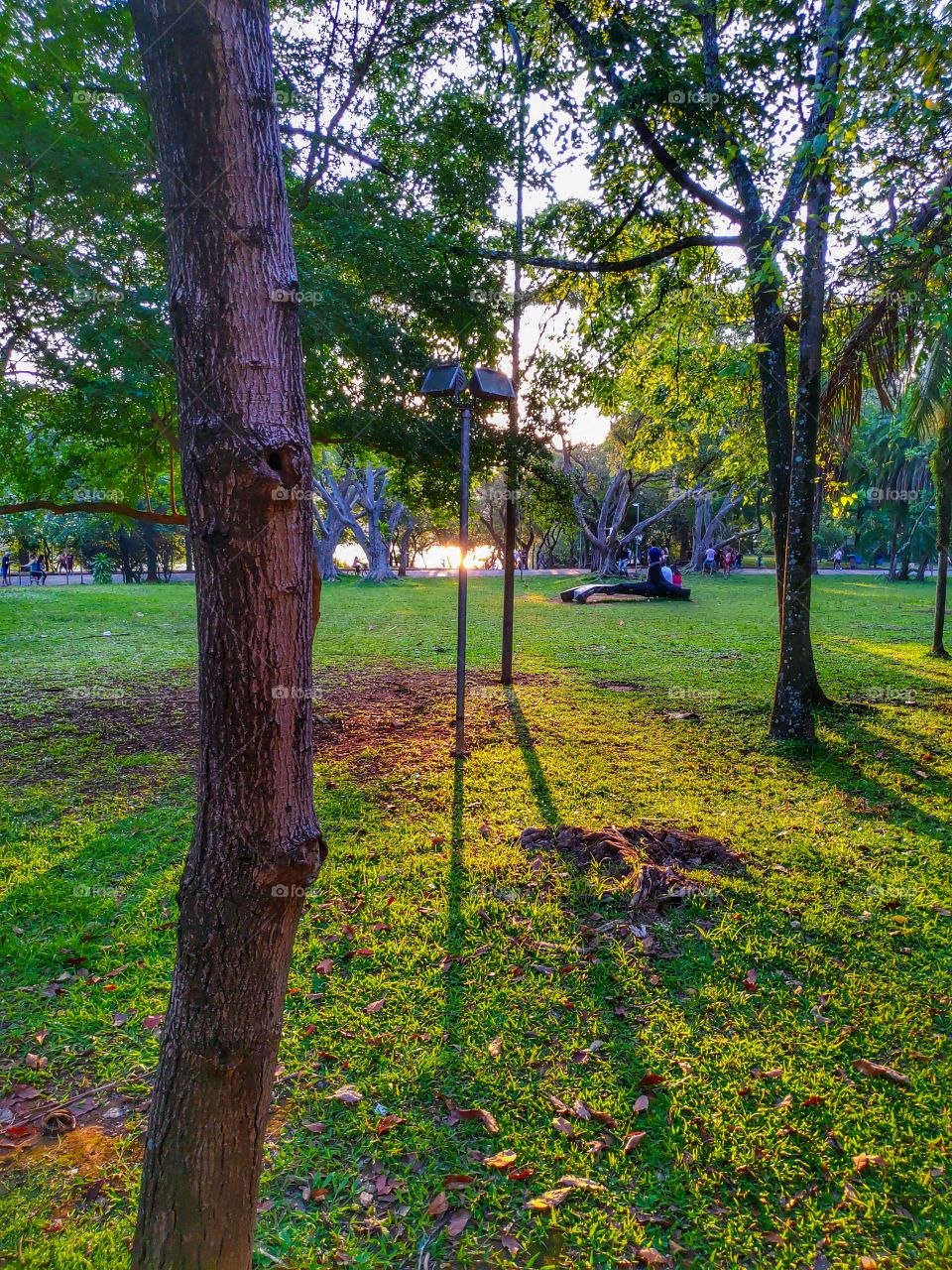 Ibirapuera Park - Brazil