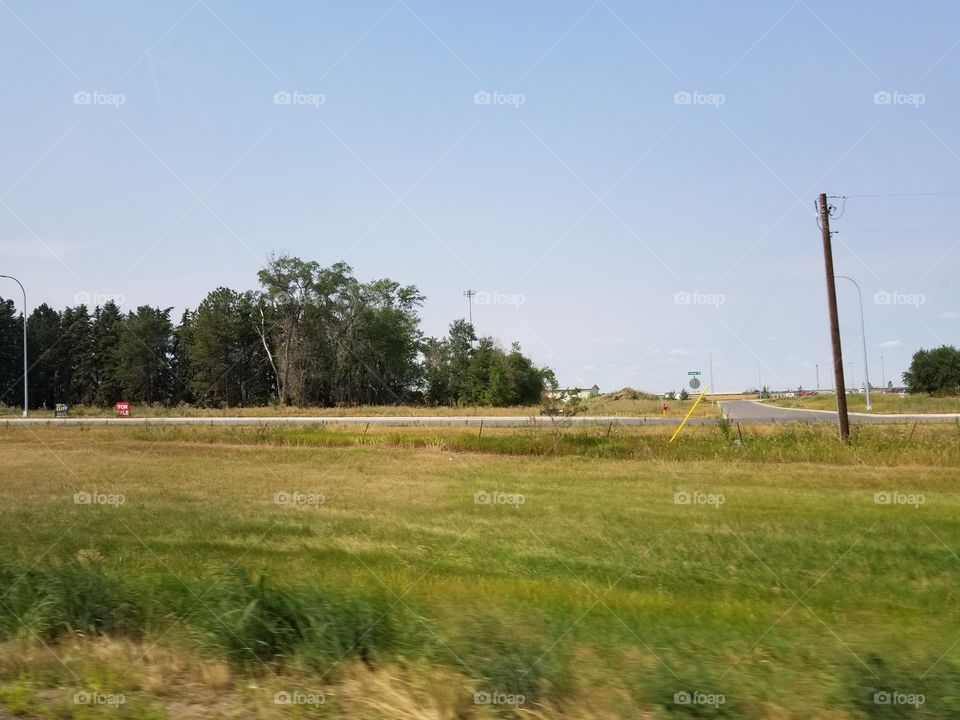 Landscape, Tree, Agriculture, Field, Grass