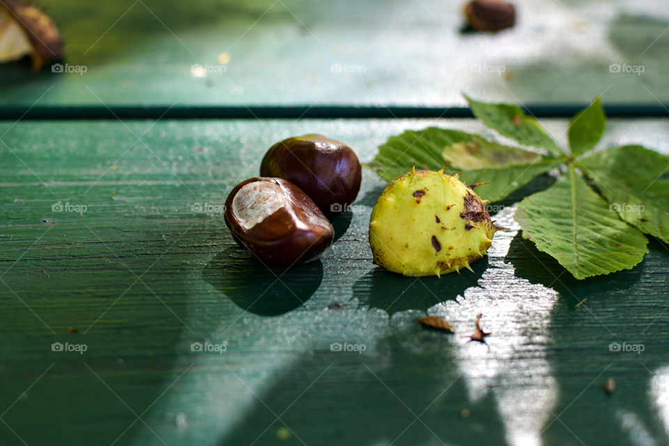 fresh chestnuts with shell and leaf