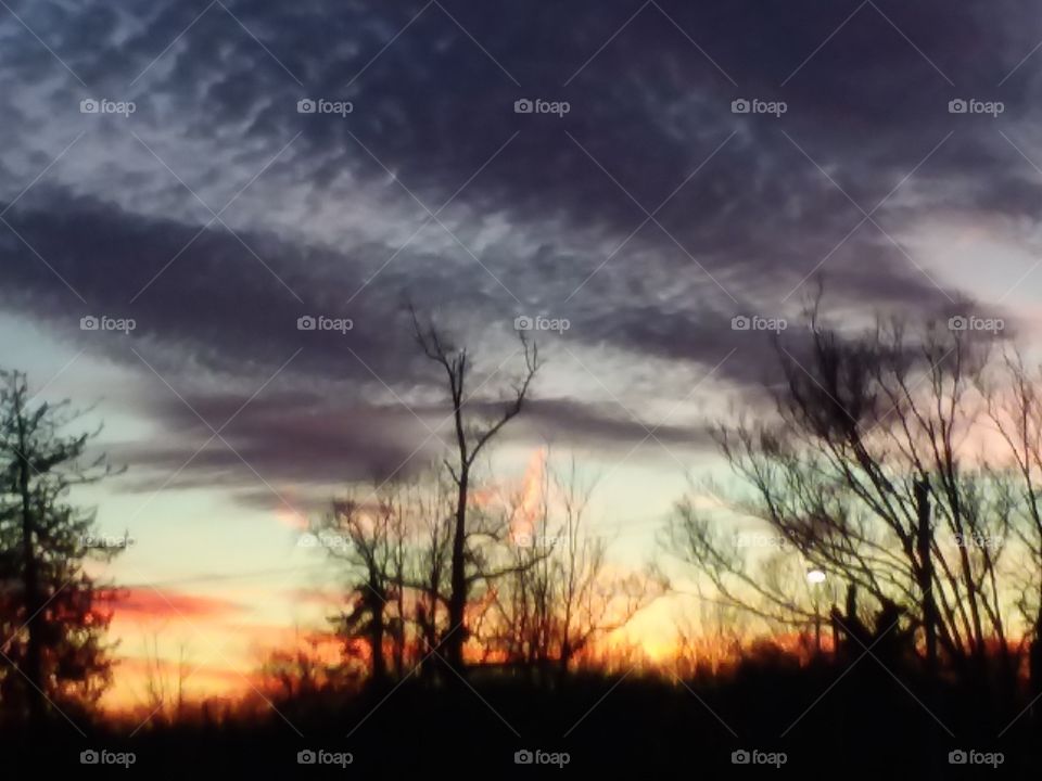 Let the beauty speak for itself