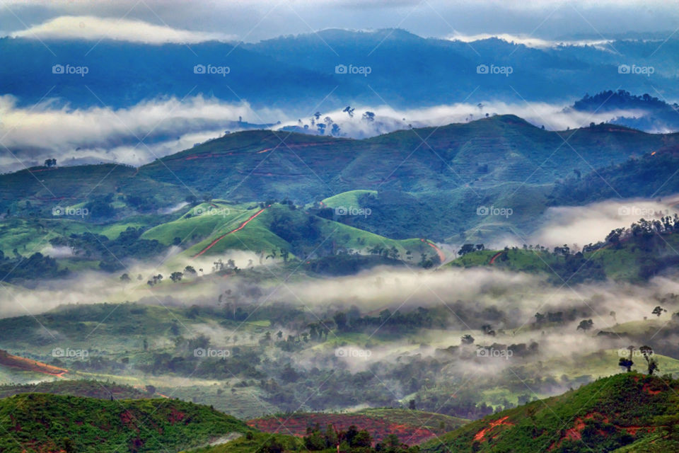 Foggy morning at Tahura Sultan Adam, South Borneo, Indonesia.