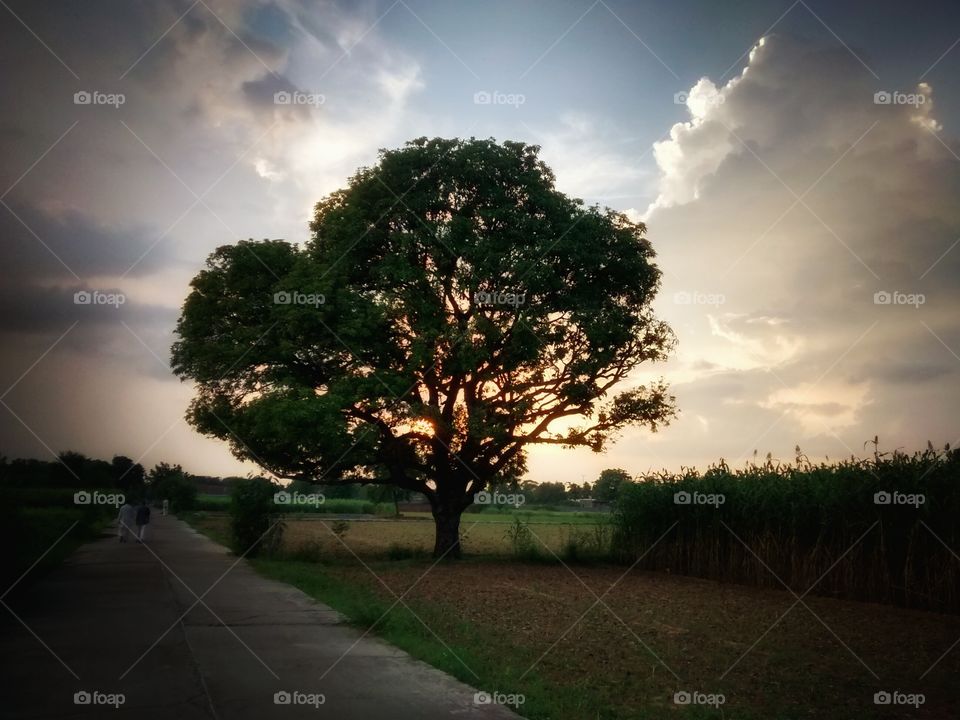 The perfect evening.