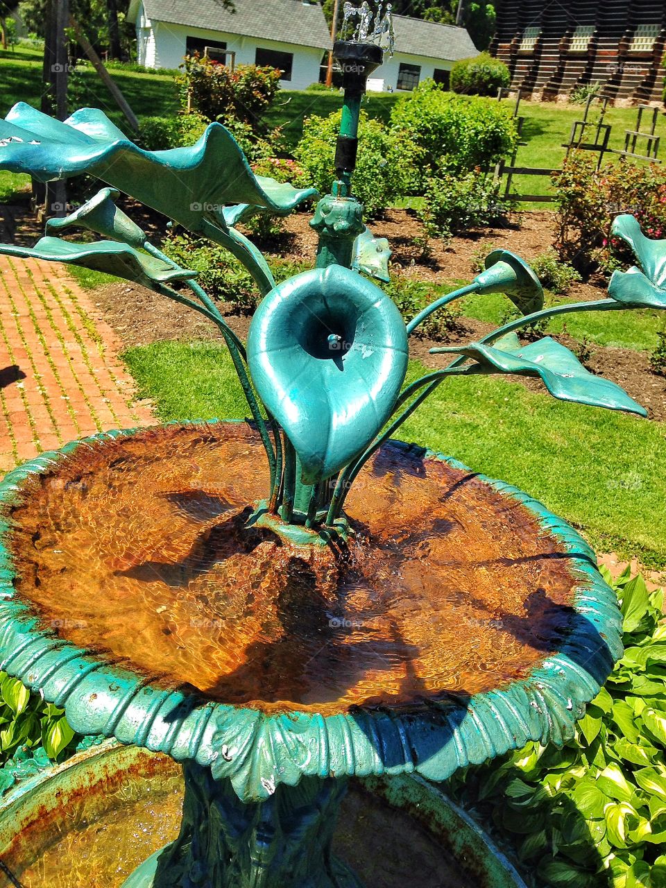 Booth Park. Calla Lily Fountain 