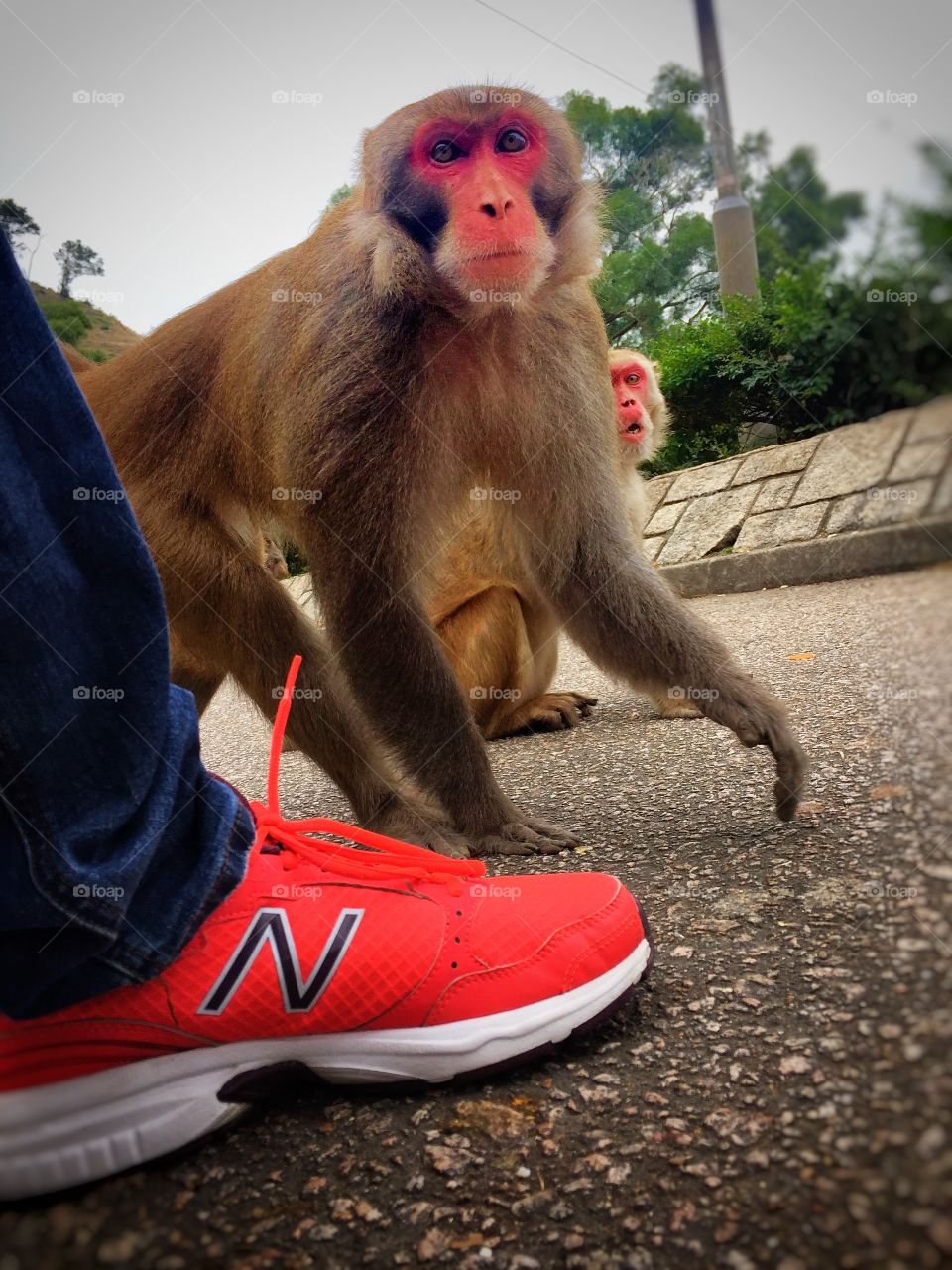 What are you looking at?