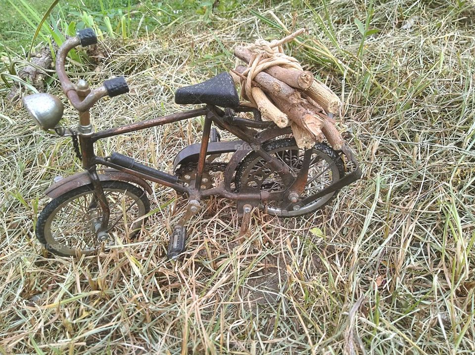 Looking for firewood