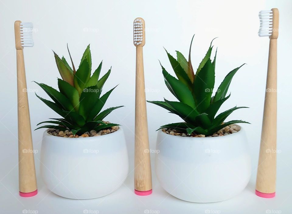 Wooden toothbrushes 🪥🦷🪥Clean teeth means fresh breath  🌿🦷🪥🌿